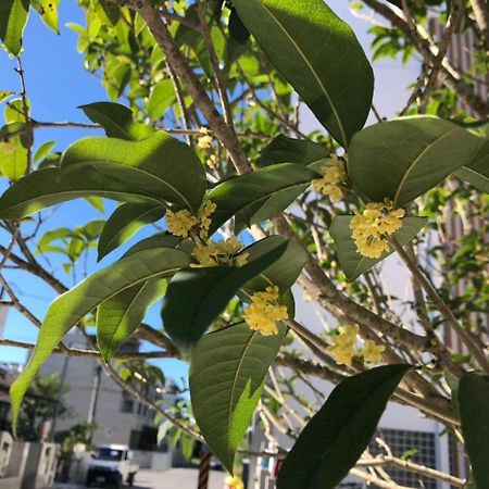Peach Blossom B&B T'ai-tung Εξωτερικό φωτογραφία